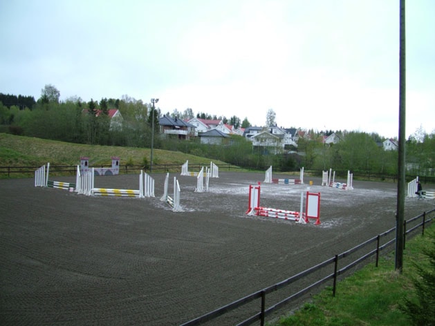 Stevne
